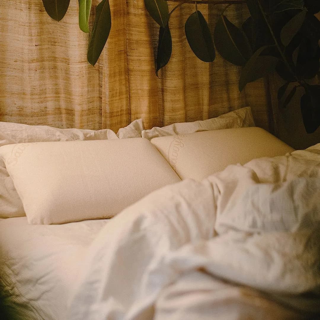 Savvy rest organic furniture and bedding